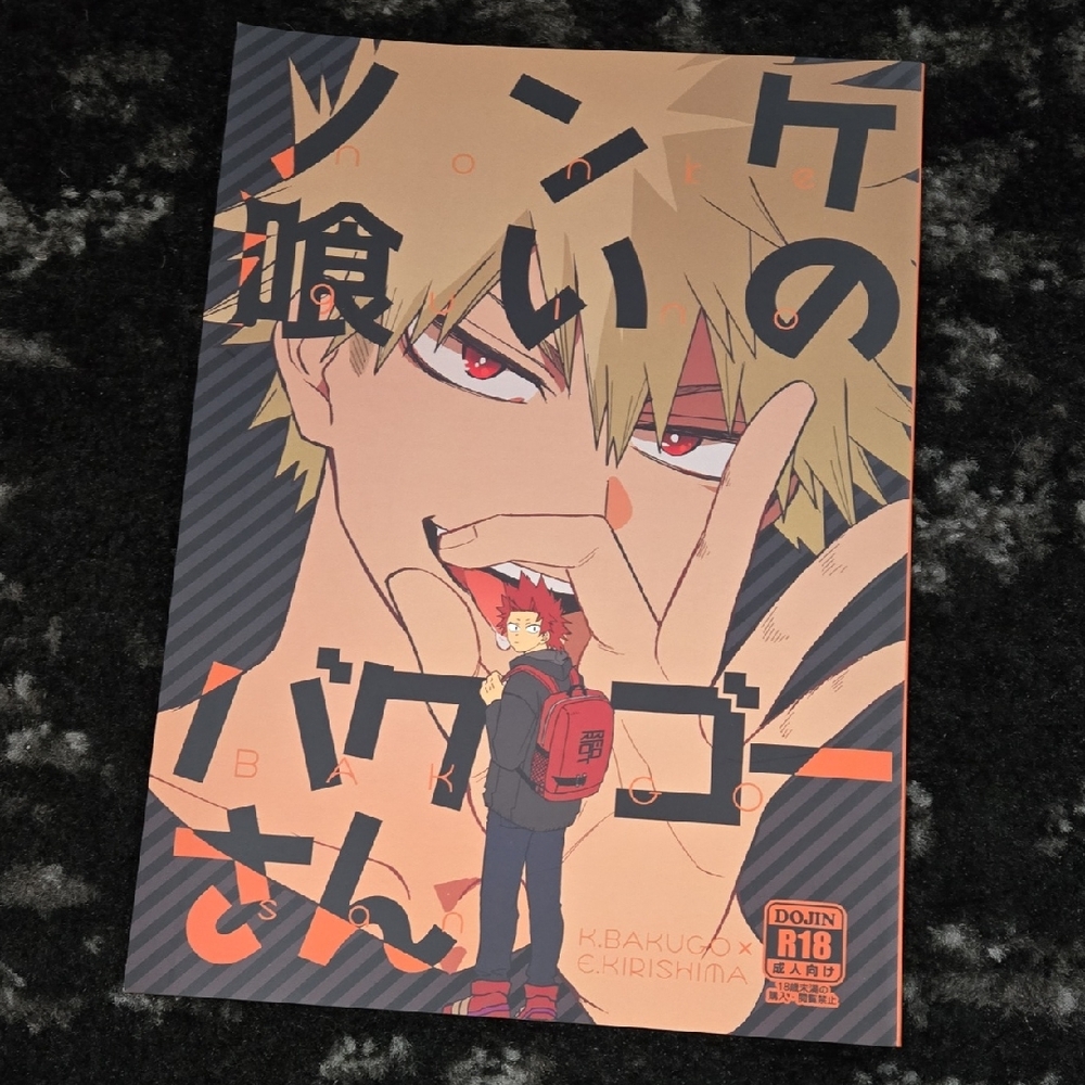 My Hero Academia Doujinshi Fan Book